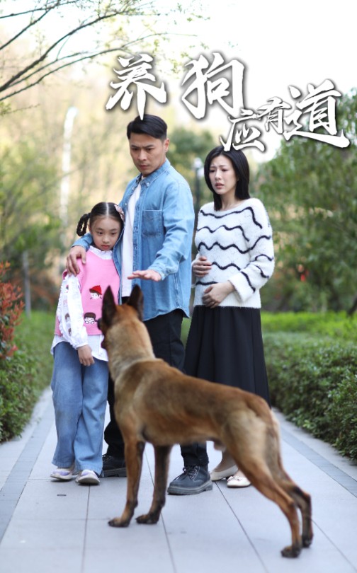 短剧《养狗应有道》 高清短剧全集在线，免费完整版欣赏