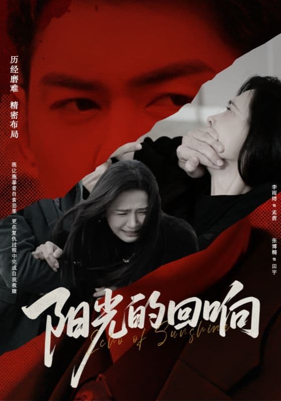 短剧《阳光的回响》 高清短剧全集免费在线，完整版随心欣赏  第1张