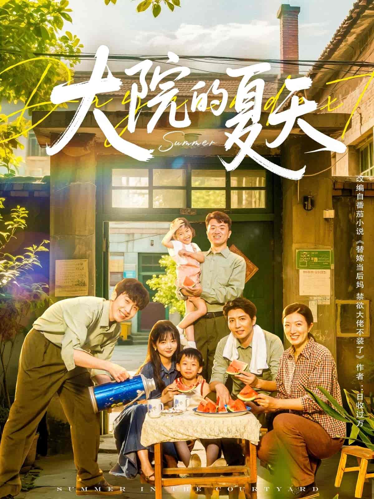短剧《大院的夏天》 全集高清免费在线观看，大结局震撼揭晓  第1张