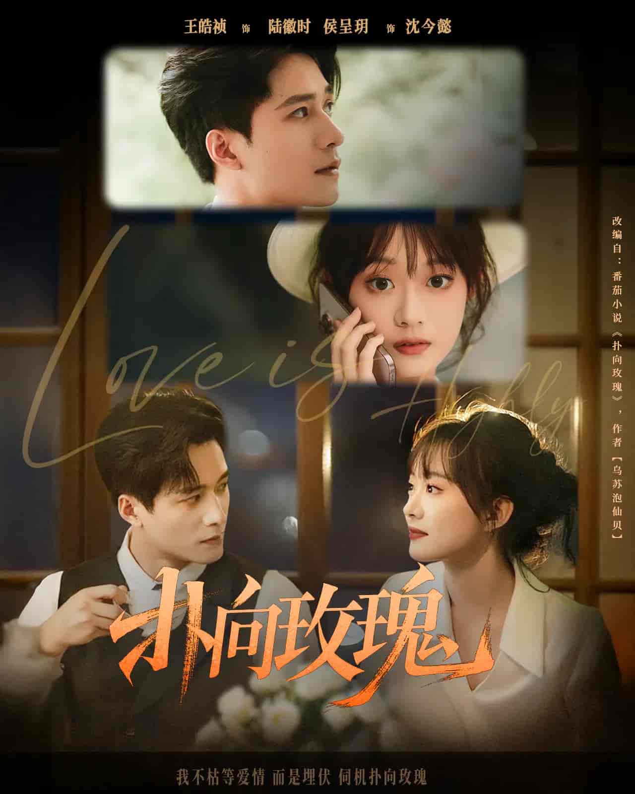 短剧《扑向玫瑰》 免费观看高清短剧，全集完整版在线无束缚自由享  第1张