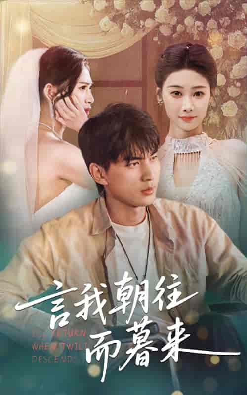 短剧《言我朝往而暮来》 短剧全集免费看，高清在线播放，大结局震撼揭晓  第1张