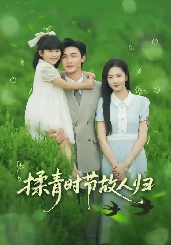 短剧《揉青时节故人归》 短剧全集在线，免费高清观看，大结局震撼来袭！  第1张