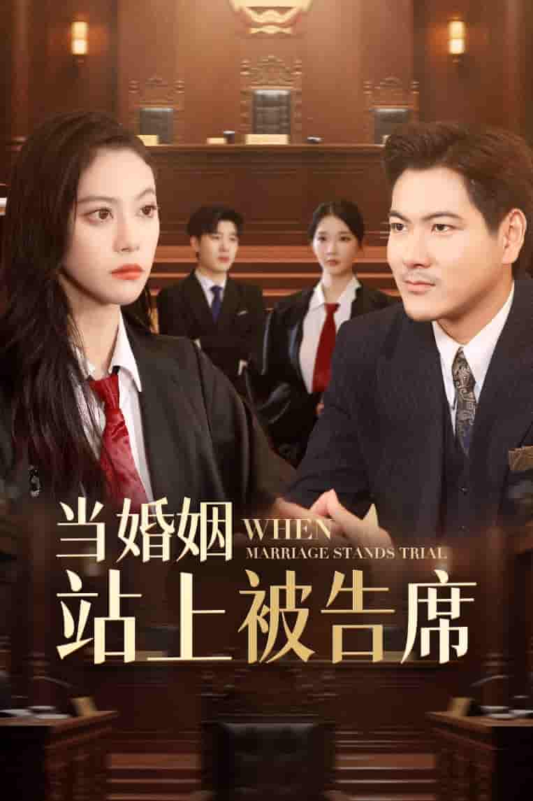 短剧《当婚姻站上被告席》 全集免费在线，高清画质，大结局震撼揭晓  第1张