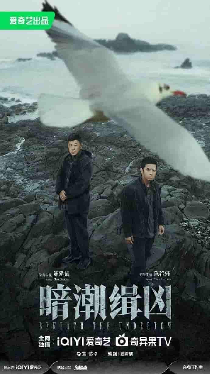电视剧《暗潮缉凶》 全集免费在线，高清画质，大结局已完结  第1张