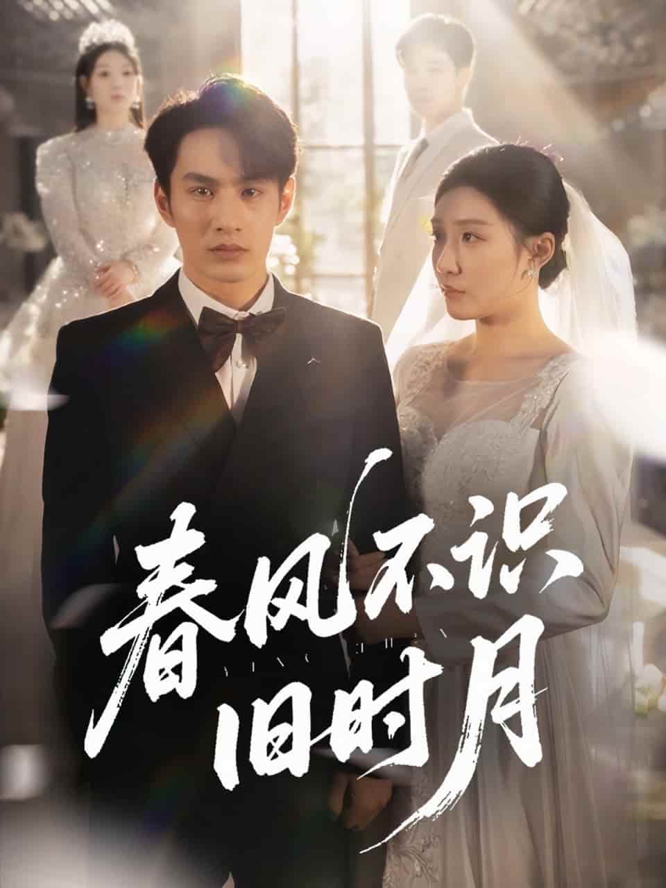短剧《春风不识旧时月》 高清短剧全集免费，完整版在线随心享无障碍  第1张