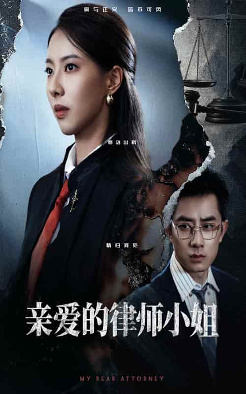 短剧《亲爱的律师小姐》 全集免费在线观看，高清画质，完整版大结局震撼揭晓！  第1张