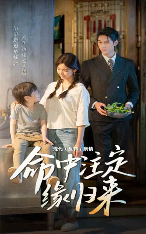 短剧《命中注定缘归来》 全集免费在线，高清画质，大结局震撼揭晓  第1张